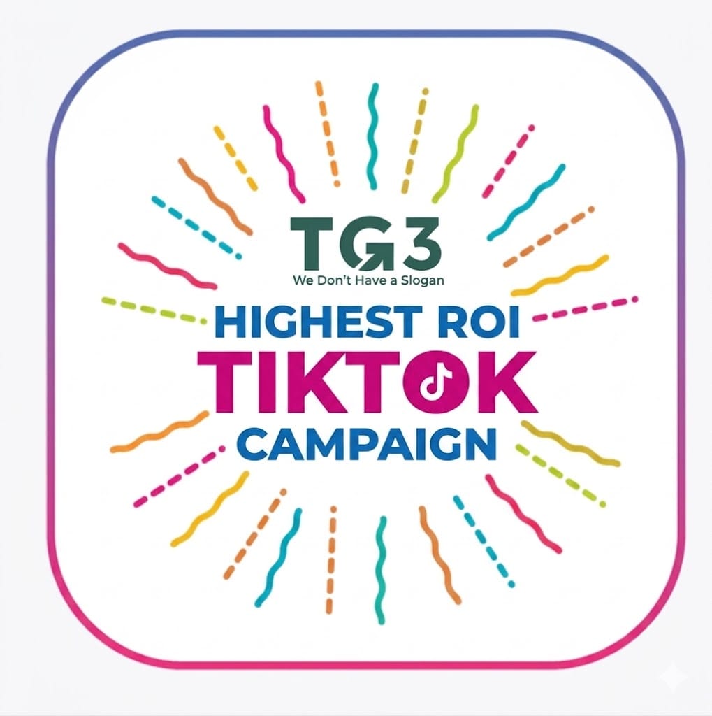 Highest ROI TikTok Campaign